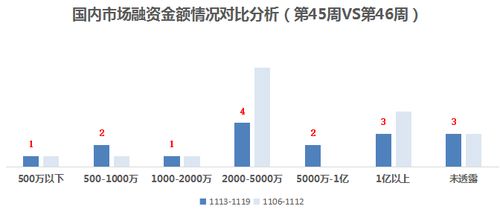 誰說性感只能有維密一種 neiwai內(nèi)外獲7000萬B輪融資，推動融資性擔保視角下的內(nèi)衣行業(yè)變革