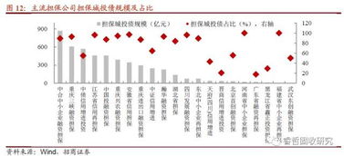 6號文紓民企出新招，堵城投斬擔保——融資性擔保機構(gòu)角色再思考