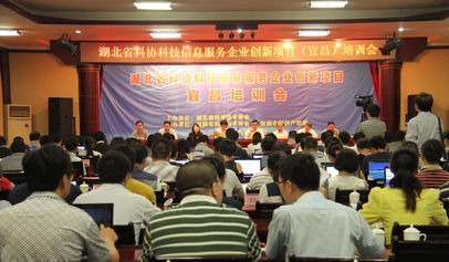 湖北省科學技術協(xié)會 賦能企業(yè)數(shù)字化轉(zhuǎn)型的信息技術咨詢服務